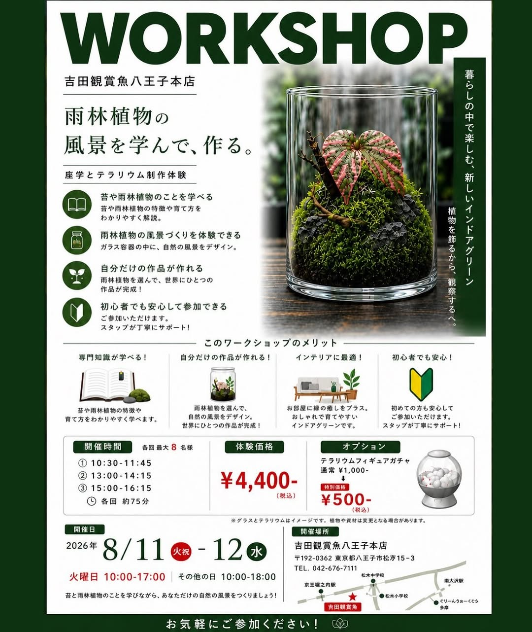 吉田観賞魚八王子本店がWORKSHOP暮らしの中で楽しむ新しいインドアグリーン2026を開催、雨林植物の学習とテラリウム制作を体験