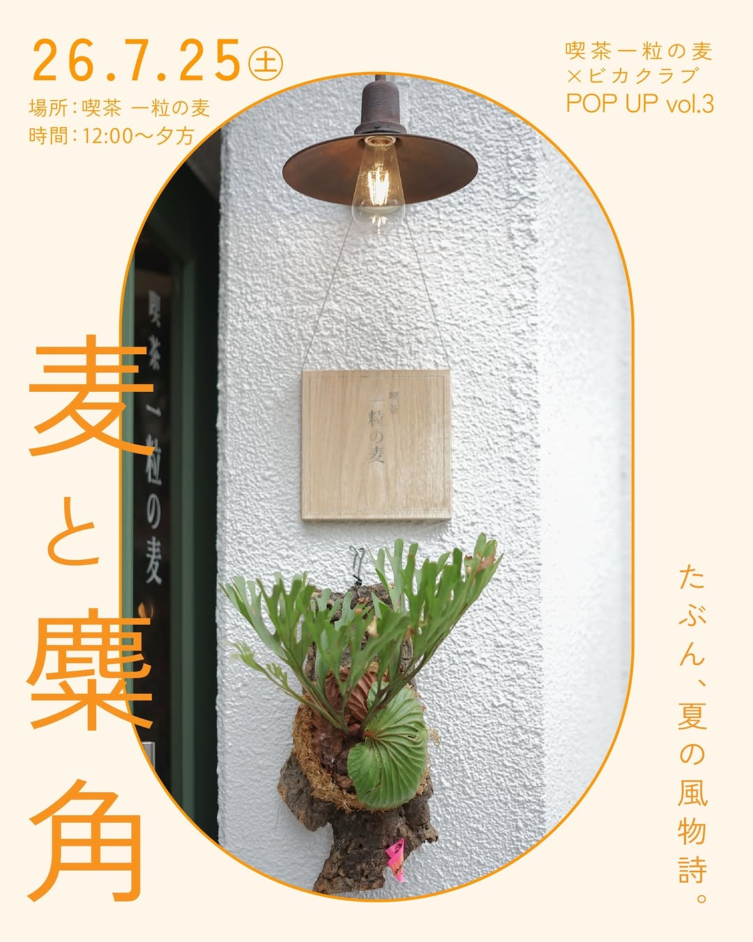 喫茶一粒の麦が麦と糜角2026を開催、ビカクシダと甘味とアートを楽しむ夏のPOPUP