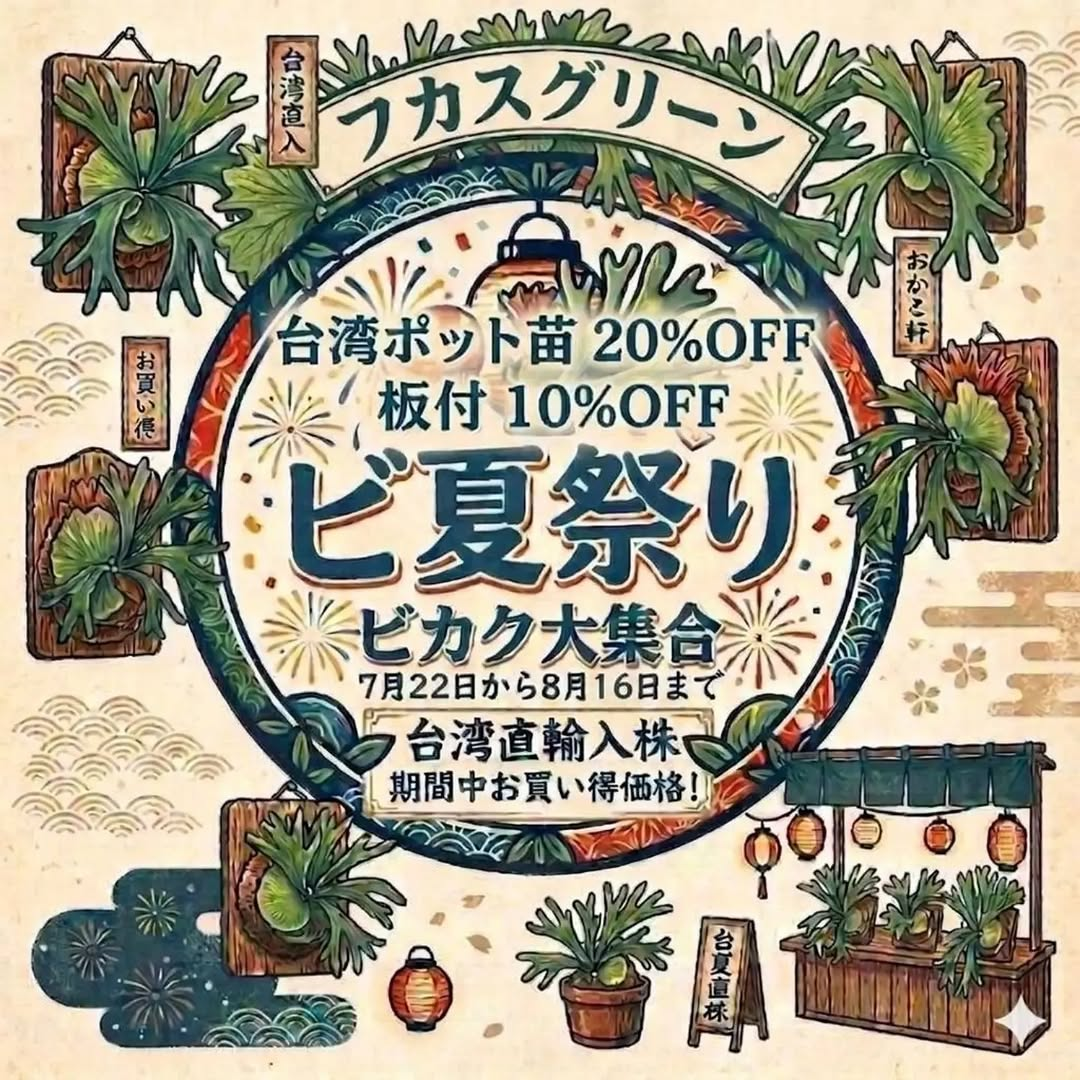 FUCASGREENがビ夏祭り2026を開催、台湾直輸入ビカクシダ苗20%OFFと板付10%OFFを実施