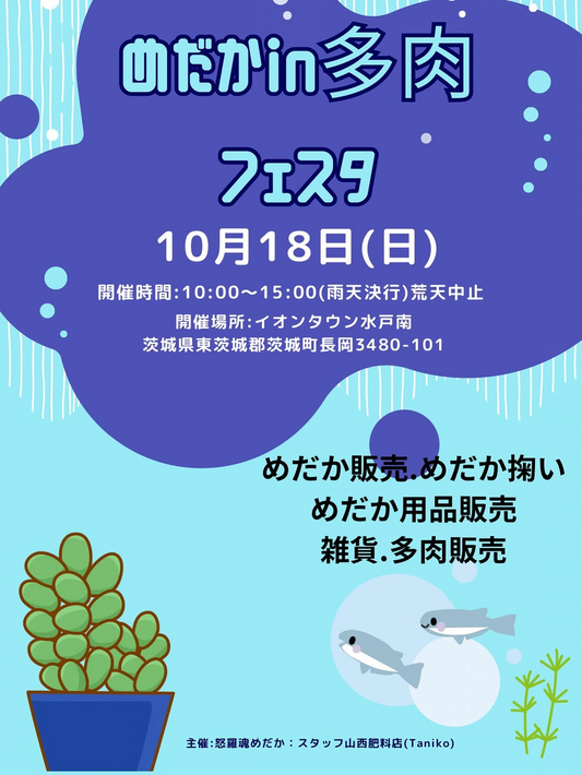 アカリスタンドがボタニカルスタンドVol.3を開催、植物と雑貨の販売や飲食を西予市で楽しめる2日間