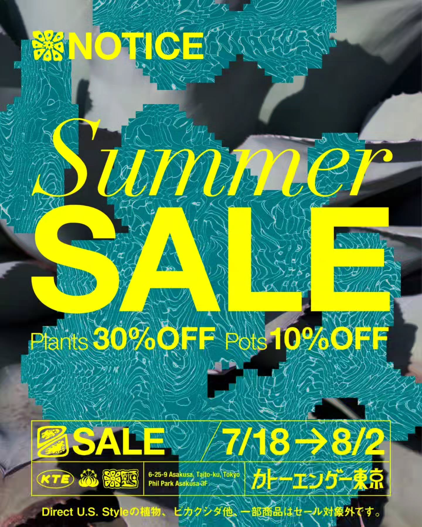 カトーエンゲー東京がSummerSALE2026を開催、アガベを中心とした植物30%OFFと鉢10%OFFを実施 - リーフラ編集部