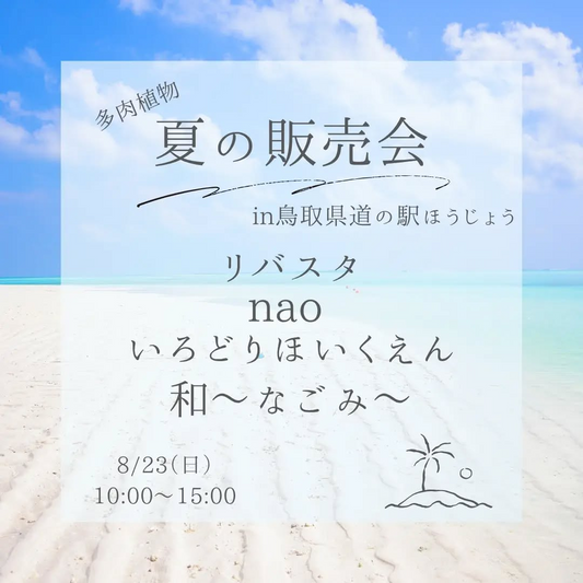 多肉植物夏の販売会2026が道の駅ほうじょうで開催、リバスタなど4者が中庭テラスに出店