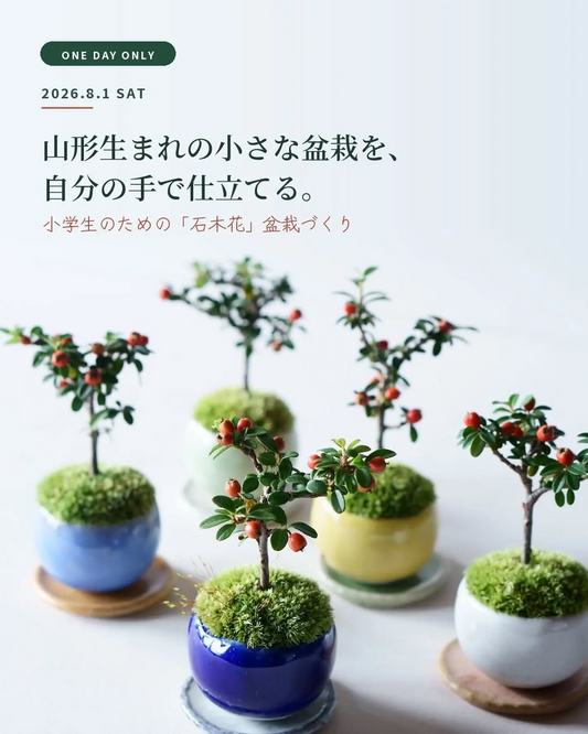 小学生のための石木花盆栽づくり2026を天童温泉で開催、山形生まれの一鉢を自宅で育てる夏休み体験