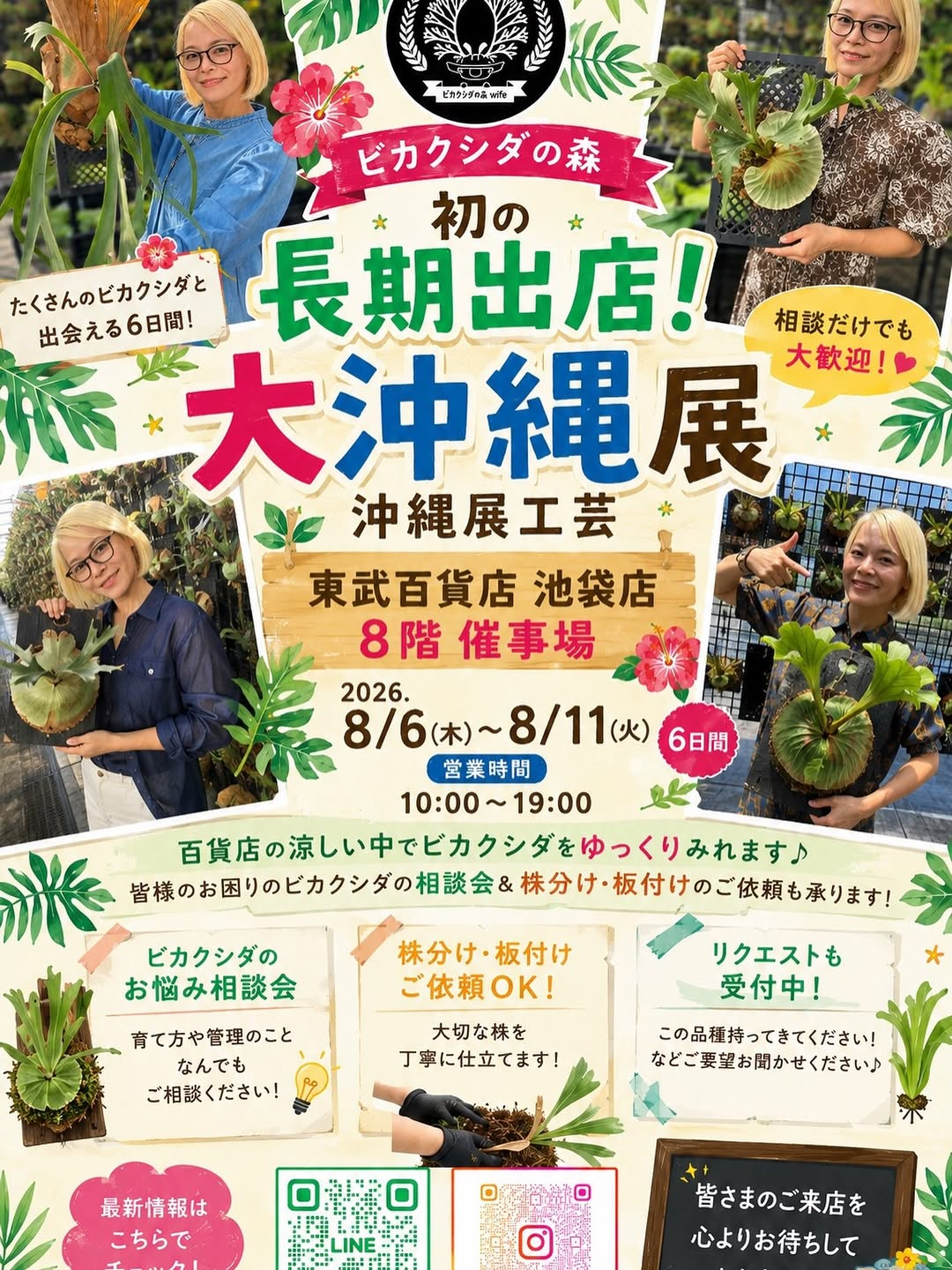 ビカクシダの森&wifeが大沖縄展2026へ6日間連続出店、池袋で販売と相談会を開催