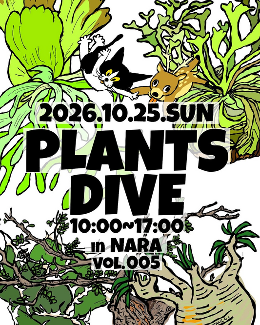 PLANTSDIVEvol.5inNARAが2026年10月25日に開催、植物販売と体験企画やキッチンカーが花ごころに集結