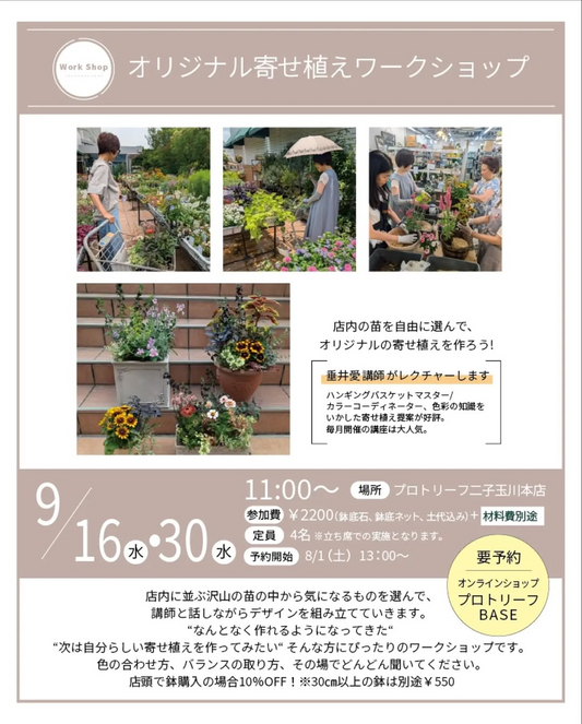 プロトリーフ二子玉川本店がオリジナル寄せ植えワークショップ2026を開催、苗選びからデザインまで講師が支援