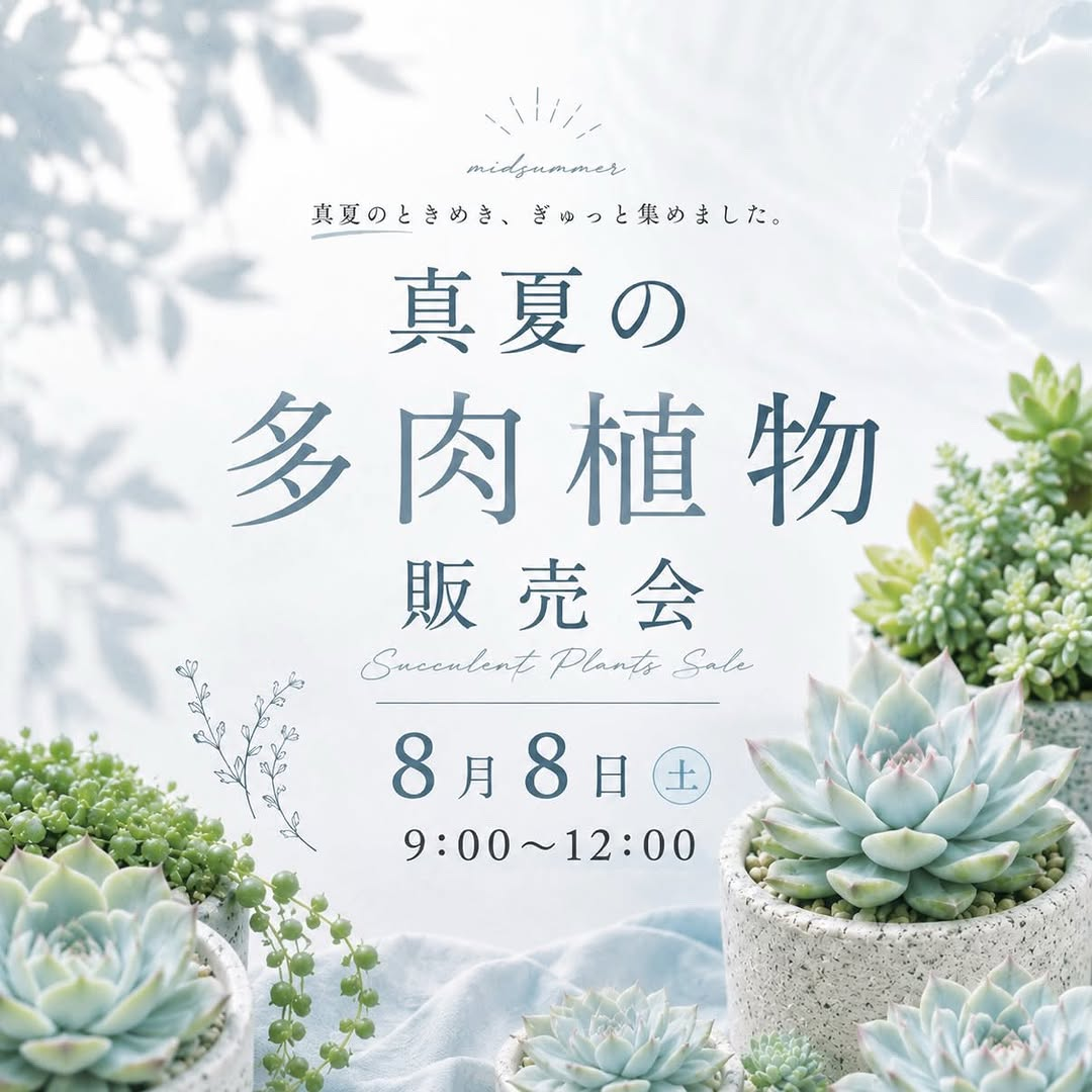 伊木山ガーデンで真夏の多肉植物販売会2026を開催、多肉植物と夏越し対策の情報交換を実施