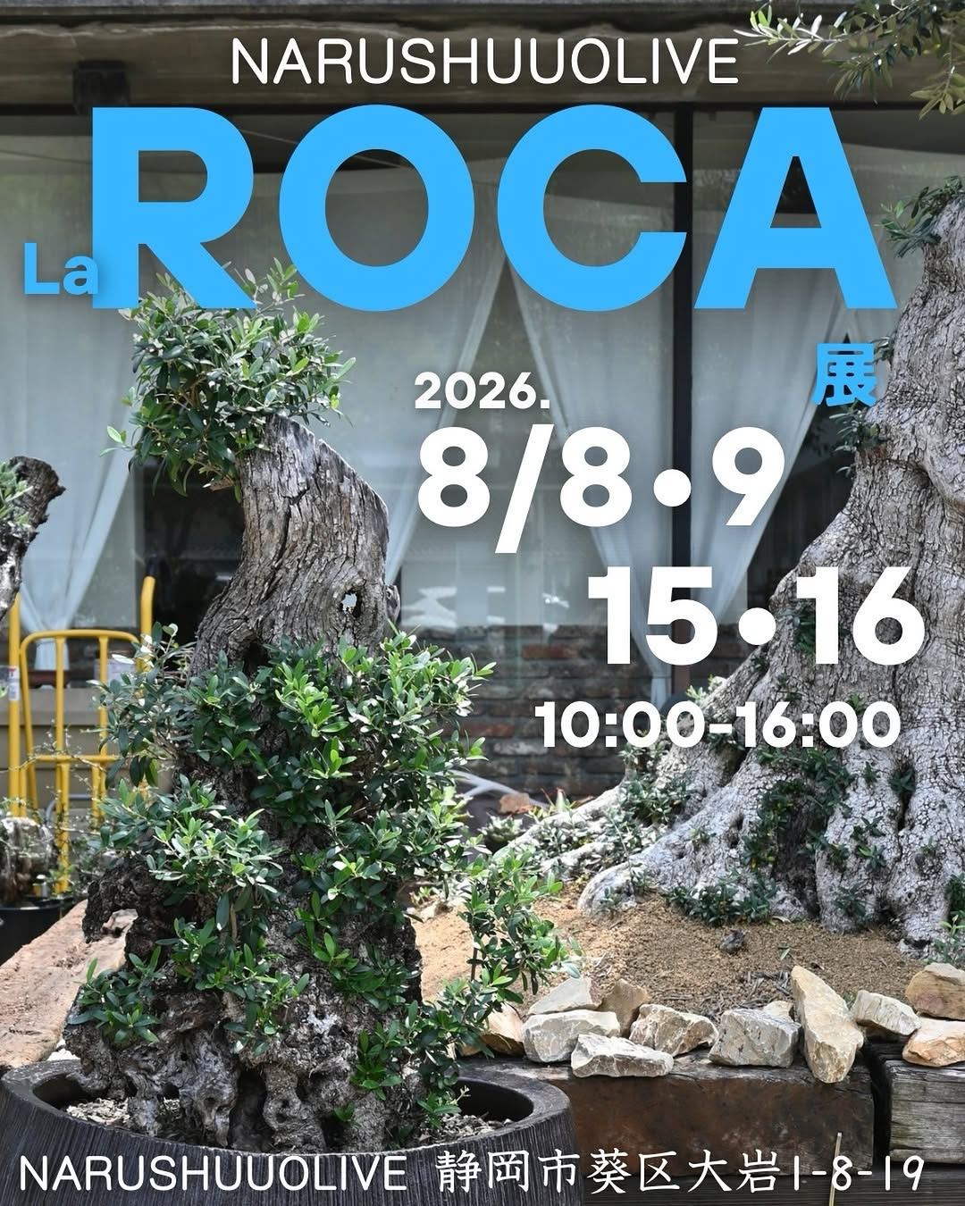NARUSHUUOLIVEがLa Roca展2026を開催、厳選したオリーブと洋菓子を店内外で楽しめる4日間