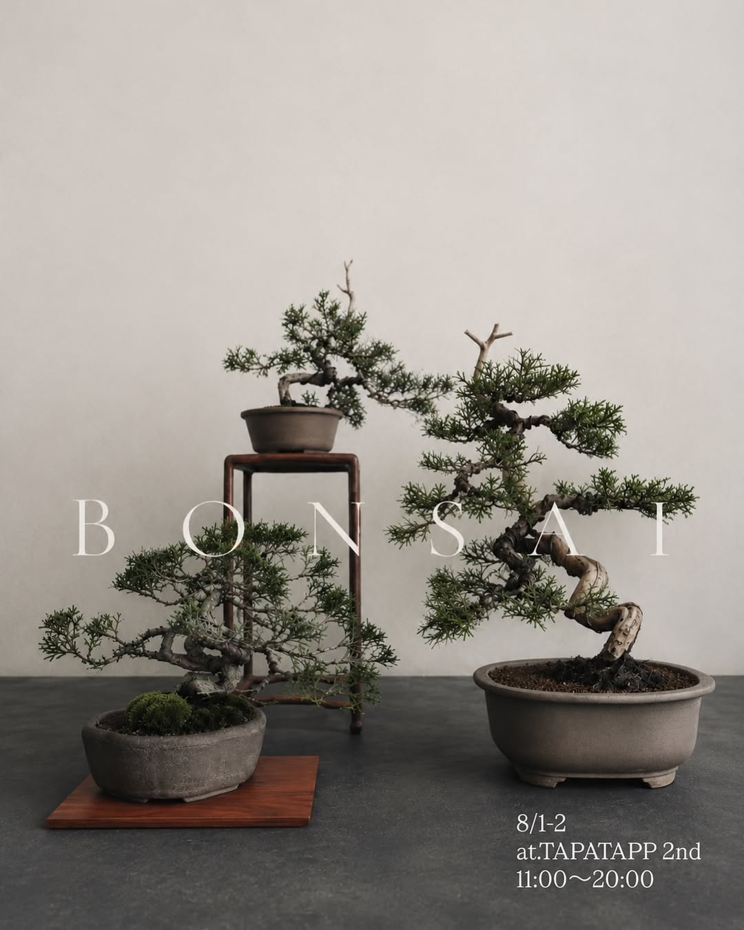 TooLsBONSAI2026が立川で盆栽POPUPを開催、2,000円からの品ぞろえで初心者も立ち寄りやすい2日間