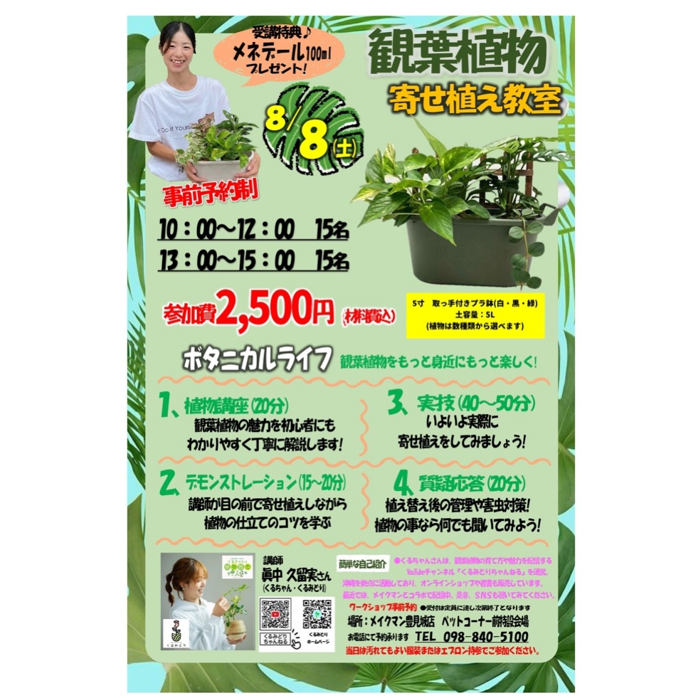メイクマン豊見城店が観葉植物寄せ植え教室2026を開催、初心者が育て方と植え込みを学べる機会