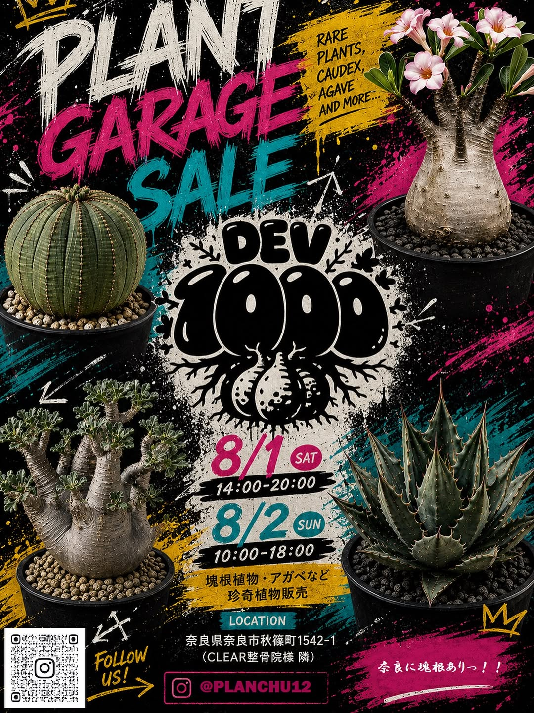奈良に塊根ありPLANT GARAGE SALE 2026が開催、塊根植物とアガベの珍奇植物販売を奈良市で実施 - リーフラ編集部