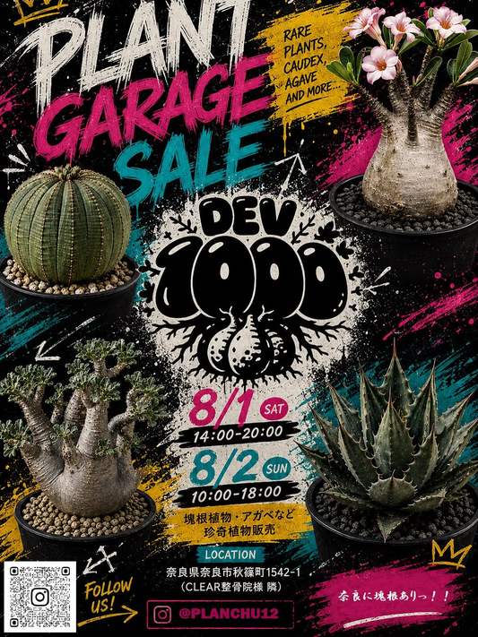 奈良に塊根ありPLANT GARAGE SALE 2026が開催、塊根植物とアガベの珍奇植物販売を奈良市で実施