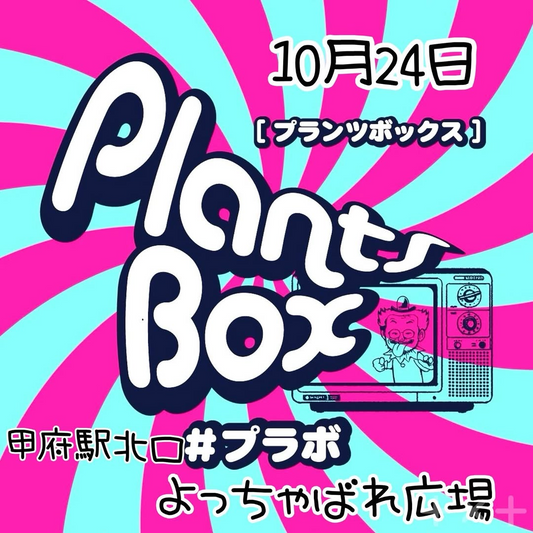 プランツボックス2026が甲府で開催、多肉植物とサボテンを扱う専門店や趣味家21組が集結