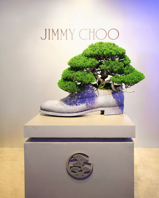 ジミーチュウがTRADMAN’S BONSAIとのコラボ盆栽展2026を開催、3種のシューズを鉢の造形に反映