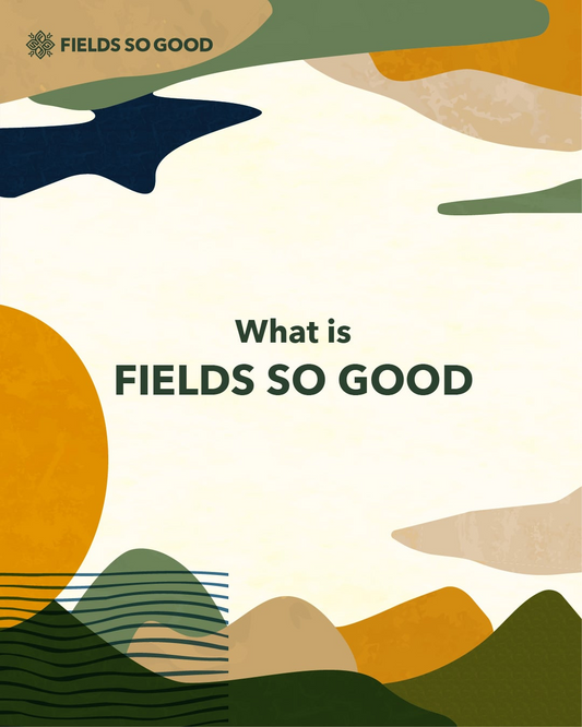 FIELDS SO GOOD 2026が八ヶ岳で開催、音楽と農と森を巡る2日間の回遊型体験