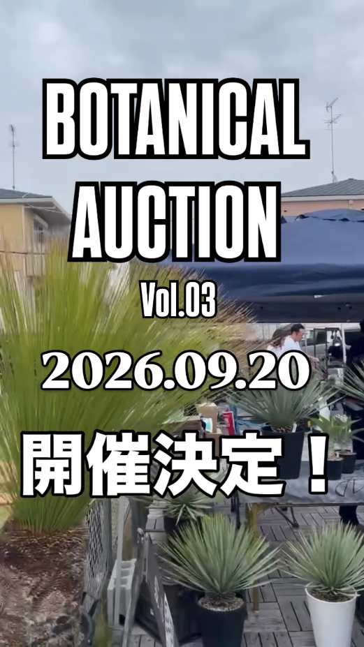 第3回ボタニカルオークション&即売会2026が浜松で開催、屋内会場で多彩な植物と園芸用品を販売