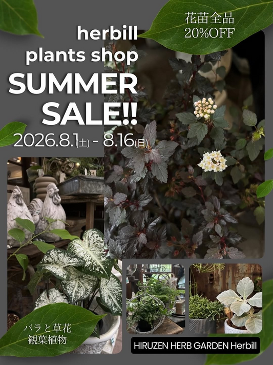 蒜山ハーブガーデンハービルが2026年夏の植物セールを開催、バラや草花など植物全品を20％offで販売