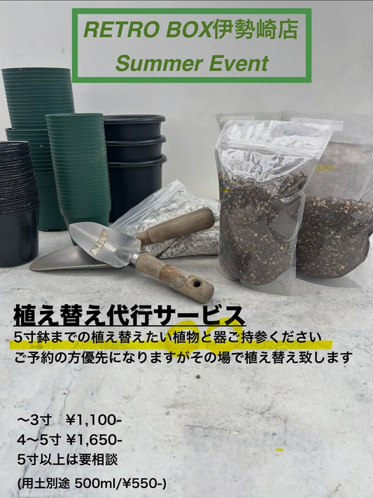 RETROBOX伊勢崎店がSummerEvent2026で植え替え代行を実施、5寸鉢まで会場で当日対応