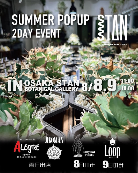 STANBOTANICALGALLERYがSUMMERPOPUP2026を開催、アガベと塊根植物の専門店に4組のゲストが出店