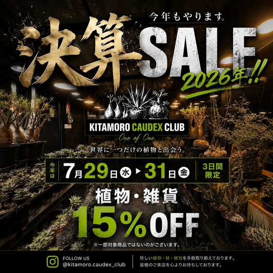 KITAMOROCAUDEXCLUBが決算SALE2026を開催、塊根植物やアガベと雑貨を3日間15%OFFで販売