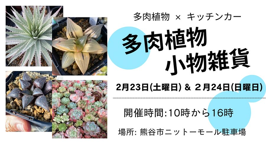 熊谷ニットーモールで珍奇植物即売会を開催、多肉植物販売とキッチンカーイベントで集客強化