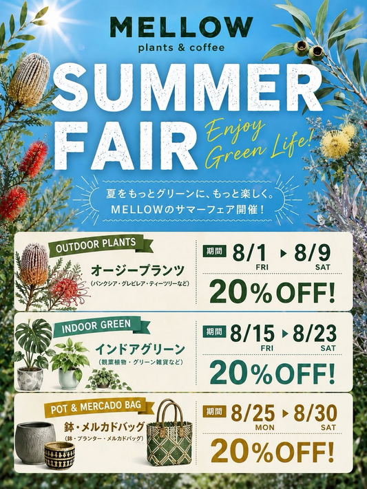 MELLOWPLANTSがSUMMERFAIR2026を開催、3弾の植物セールで対象商品を20%OFF