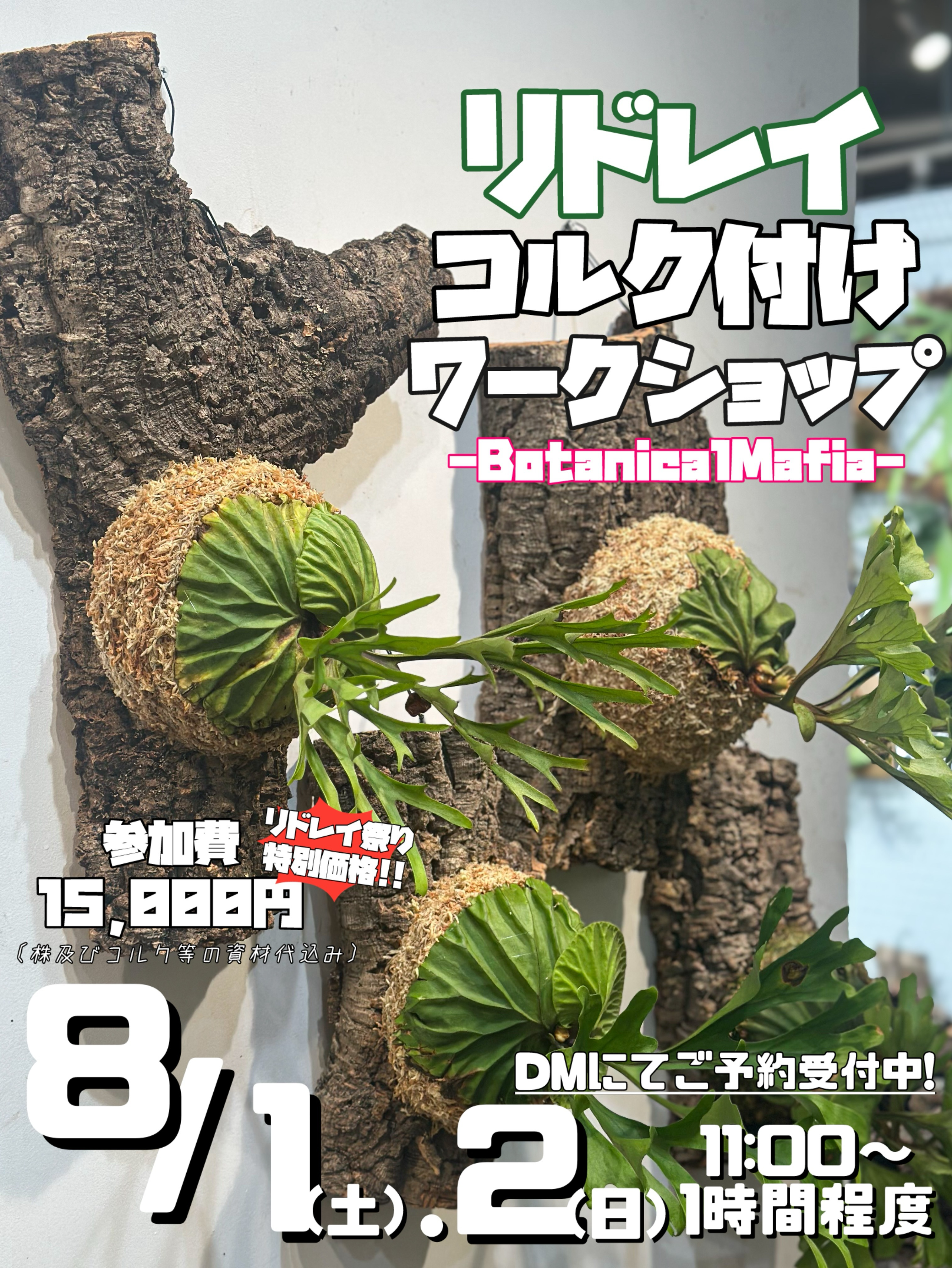 BotanicalMafiaがリドレイコルク付けワークショップ2026を開催、実演指導と植物選びを店舗で体験 - リーフラ編集部