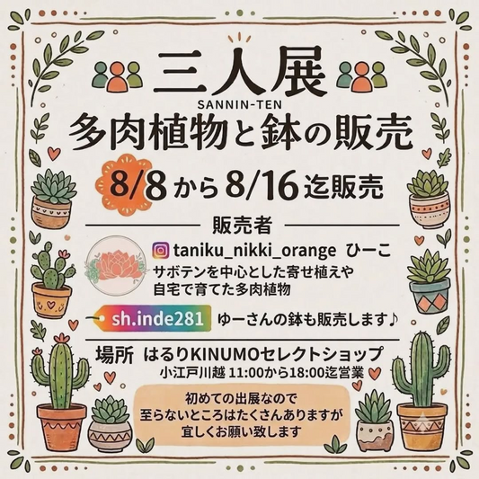 三人展が多肉植物と鉢の販売を開催、はるりKINUMOでサボテン寄せ植えとリメイク鉢を販売