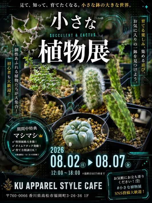 小さな植物展SUCCULENT & CACTUSが開催、KU APPAREL STYLE CAFEで植物展示を実施