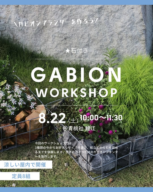 ガビオンプランターワークショップ2026を青桃社鯉江で開催、ガビオン制作体験と石詰めを楽しむイベント