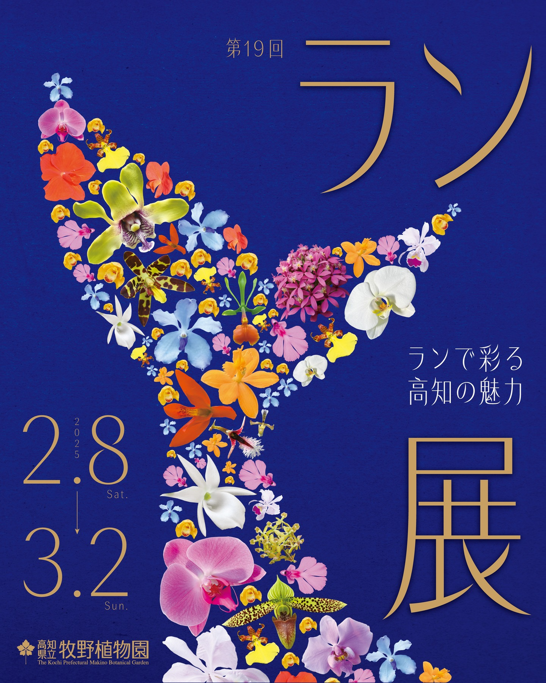 牧野植物園が第19回ラン展を開催、高知県産の洋ランと地域文化を融合した新たな展示手法を導入