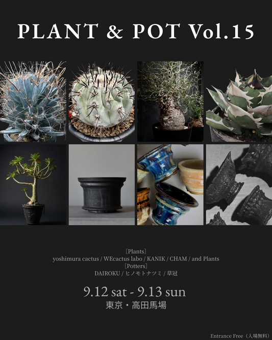 PLANT & POT Vol.15が植物と作家鉢の展示販売を開催、東京・高田馬場で組み合わせを楽しむイベント