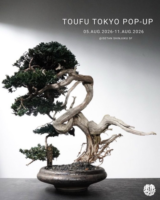 TOUFU TOKYOがRE BONSAI™ POPUPを開催、伊勢丹新宿店で盆栽アート約50点を展示販売