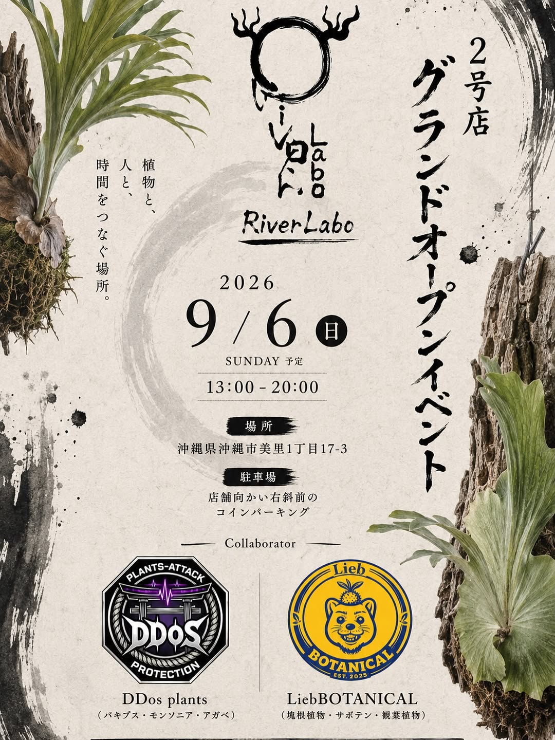 2026年9月 沖縄の植物イベント・即売会一覧 - リーフラ編集部