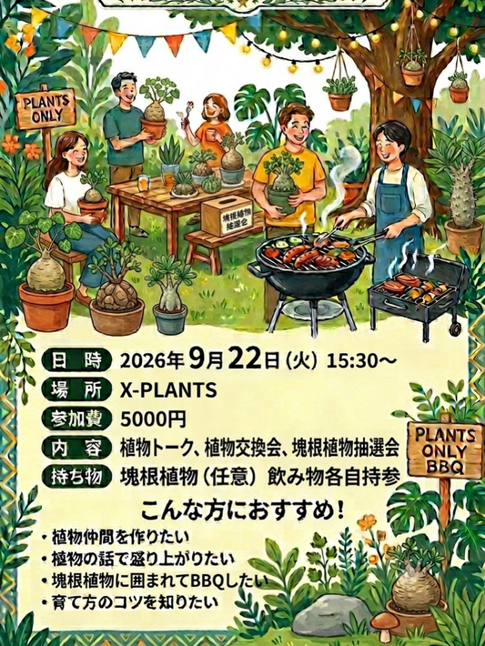X キャンプ GREEN & BBQがPLANTS ONLY BBQを開催、塊根植物とBBQを楽しむ植物イベント