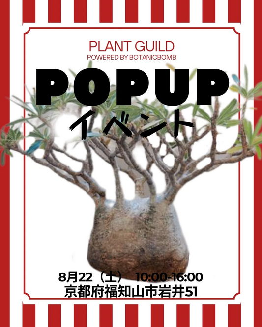 PLANT GUILD Powered by BOTANICBOMB2026年8月の部がPOPUPイベントを開催、京都府福知山市で8月22日に実施予定