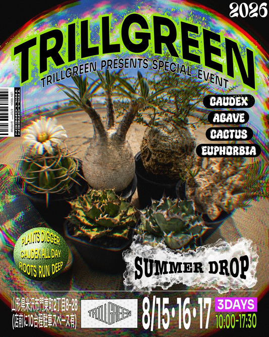 TRILLGREEN SUMMER DROP 2026が植物販売イベントを開催、塊根植物やAGAVEを米沢市TRILLGREENで展開