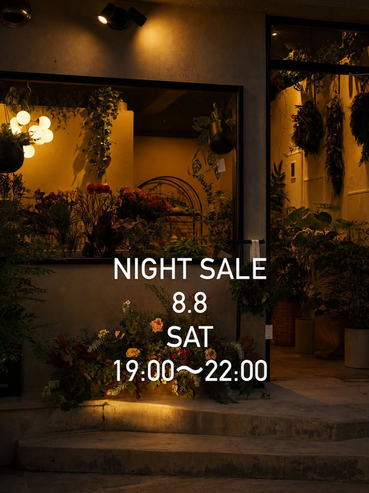 of flowerがNIGHT SALEを開催、切花や観葉植物を割引販売する水戸市の夜間イベント