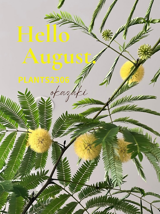 PLANTS2306 岡崎店が2026年8月のお知らせを公開、ポイント6倍DAYと植物10％OFF SALEを実施