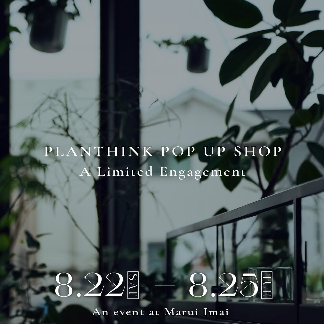 PLANTHINK POP-UP SHOPが丸井今井札幌本店で開催、観葉植物展示販売と植物ケア相談会を実施