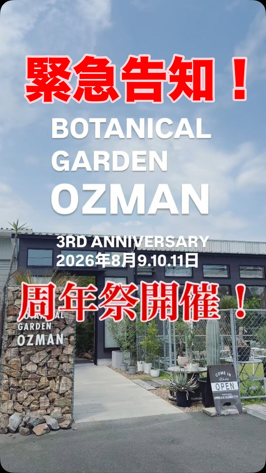 BOTANICAL GARDEN OZMAN 3rd Anniversaryが3周年イベントを開催、静岡県掛川市の店舗で周年祭を実施