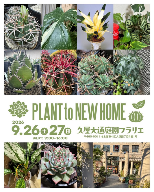 愛珍植祭presentsPLANTtoNEWHOME2026を久屋大通庭園フラリエで開催、9月26日と27日の2日間実施予定