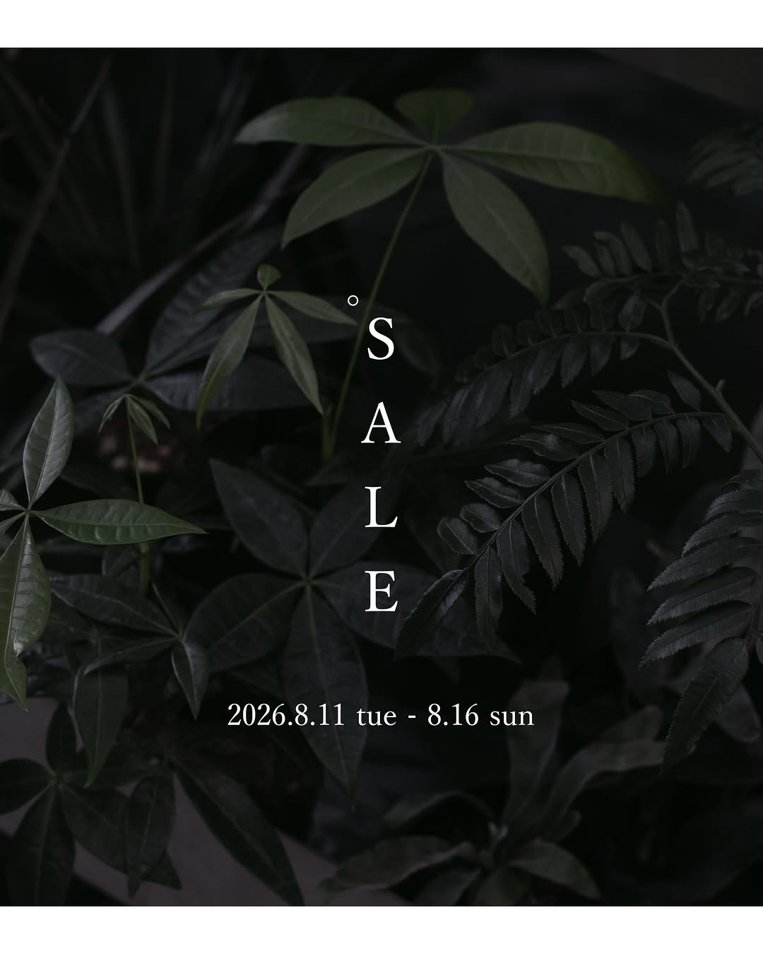 atelier ensが2026年お盆休み期間中SALEを開催、植物や鉢を割引販売する名古屋の店舗企画