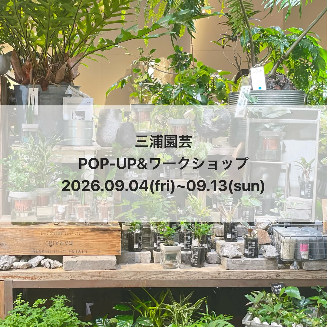 garageOSAKAで三浦園芸POP-UP＆ワークショップ2026を開催、水耕苗販売と寄せ植え講座を実施予定
