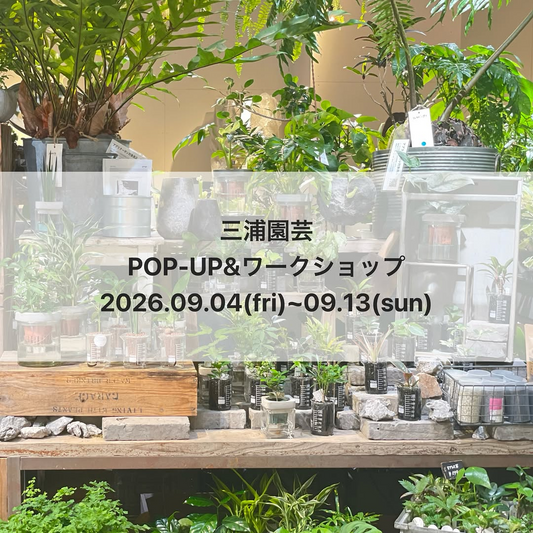 garageOSAKAで三浦園芸POP-UP＆ワークショップ2026を開催、水耕苗販売と寄せ植え講座を実施予定