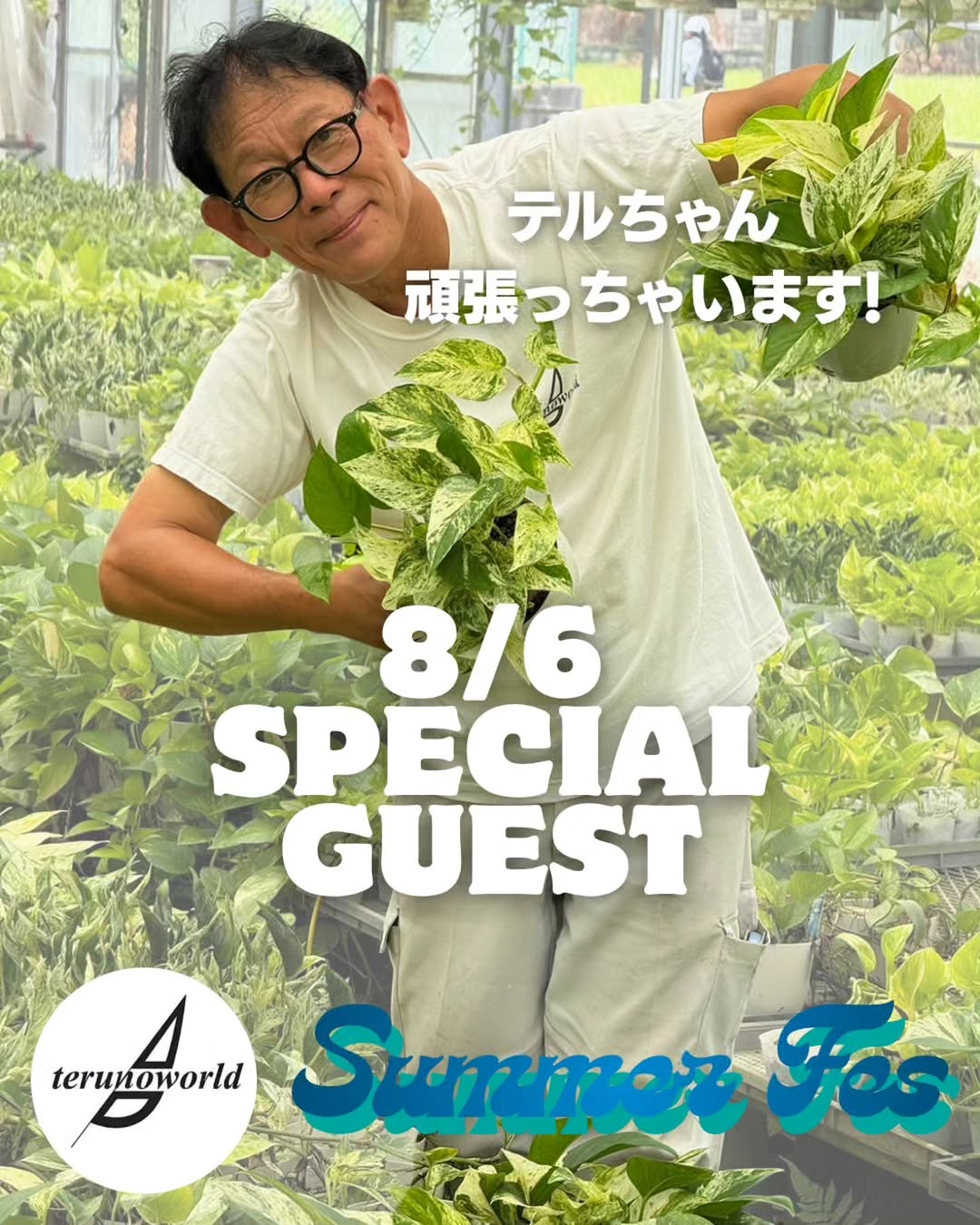 Bee garden Summer FesでテルノさんゲストYouTube LIVE販売、ポトス品種を紹介する植物販売企画