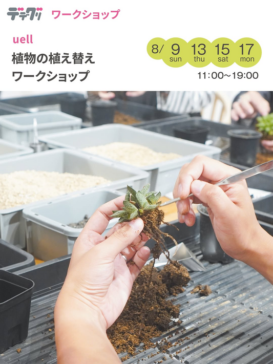 デデグリ2026でuellが植物の植え替えワークショップを開催、京阪百貨店守口店で植物体験を実施