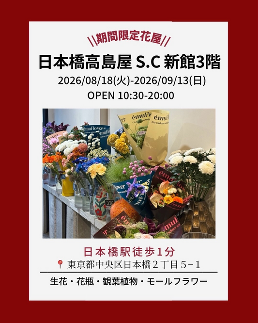 ému Flowerが日本橋高島屋S.C.で期間限定花屋を開催、生花やモールフラワーを展開