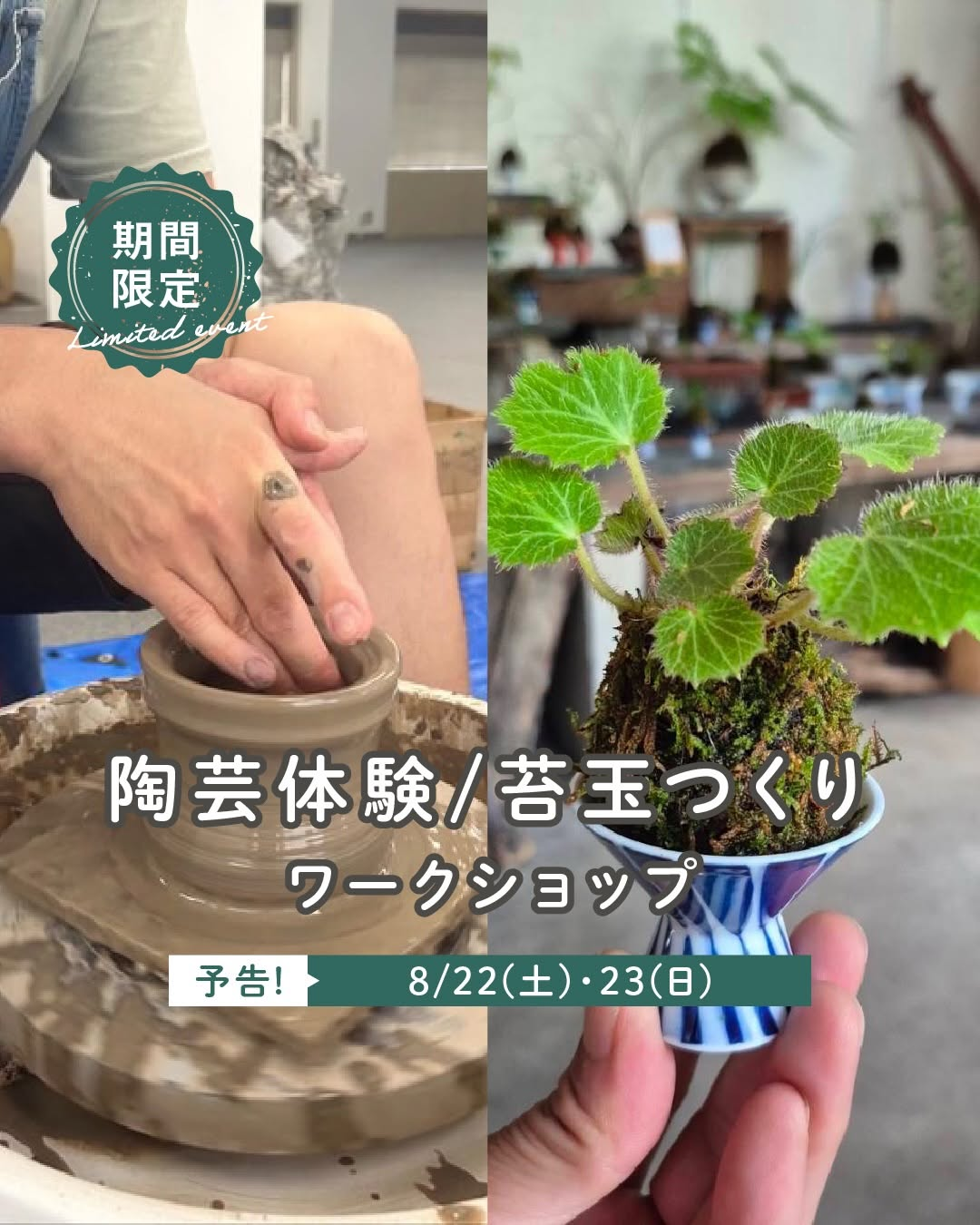 天王寺ミオが陶芸体験と苔玉つくりワークショップ2026を開催、手作り作品を楽しめる期間限定イベント