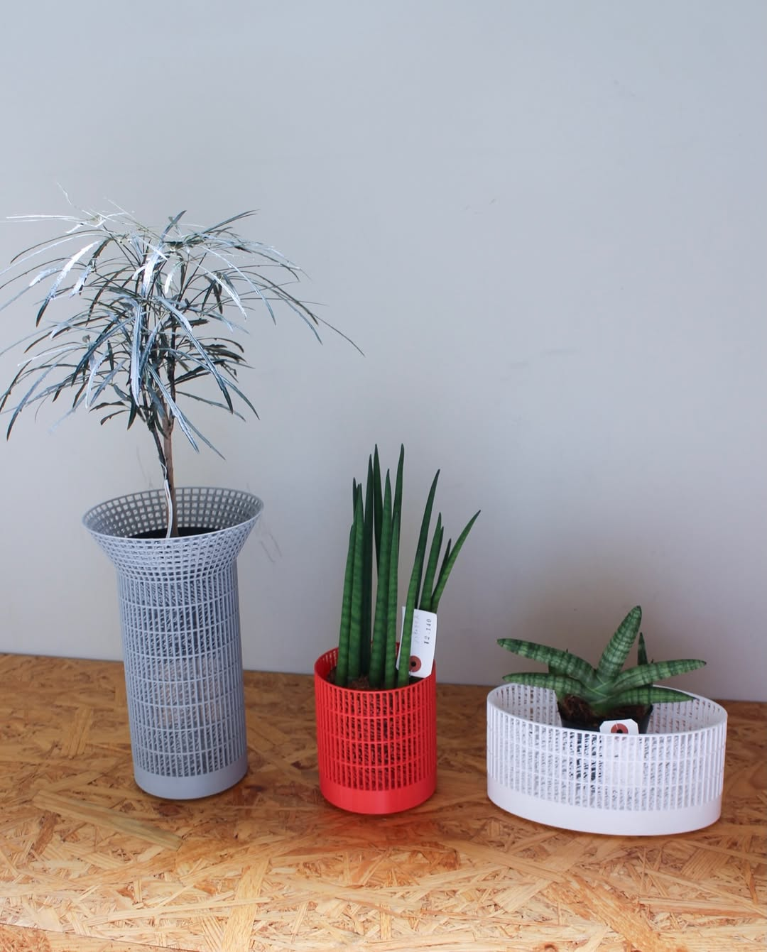 UbymuiがPOPUPUbymui2026を8月12日まで延長、植物再入荷と植え替えサービスを案内